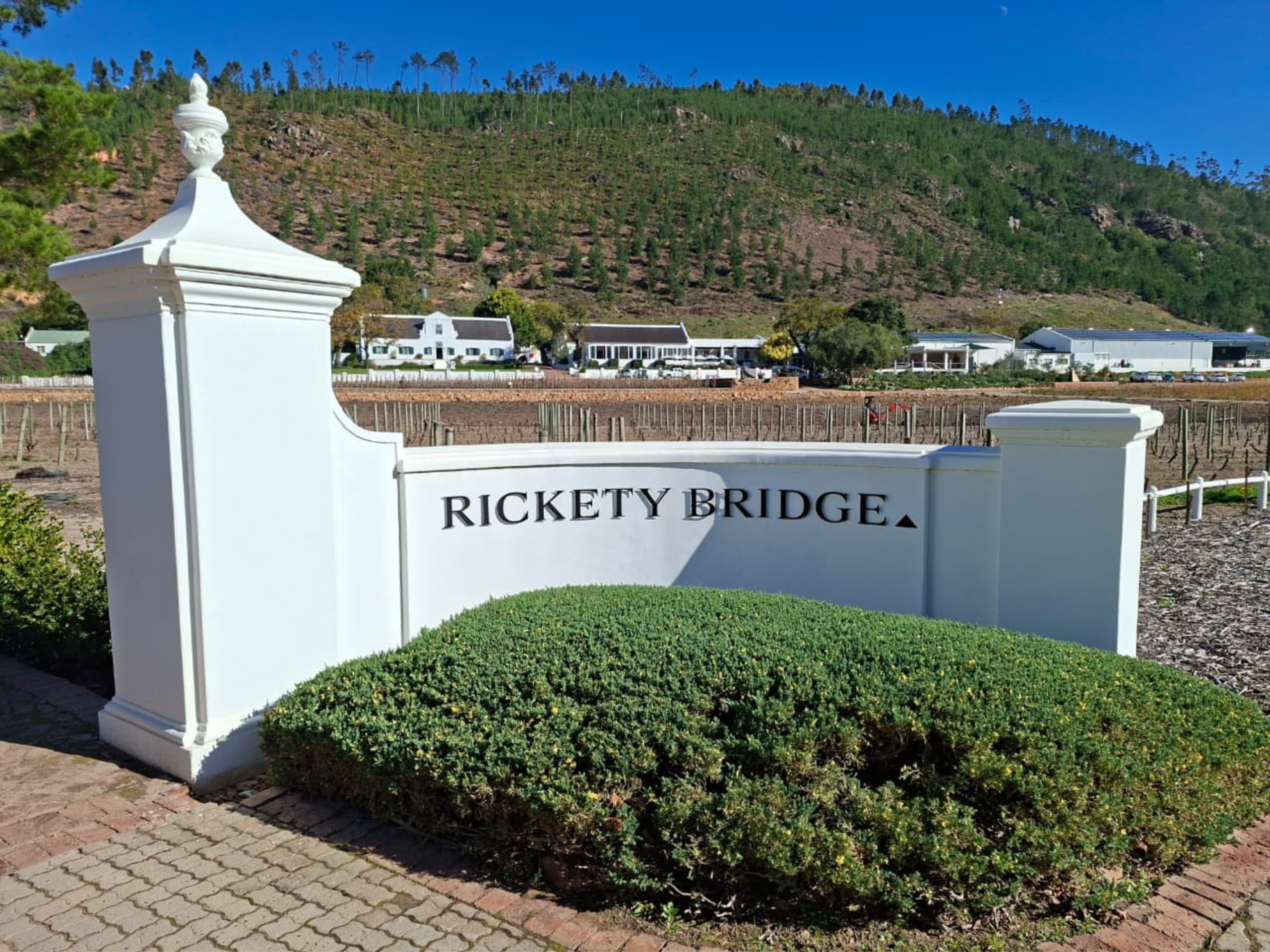 Rickety Bridge Wine Estate in Franschhoek